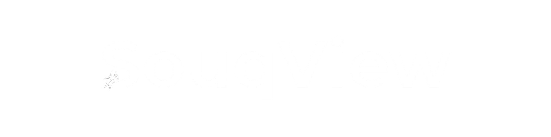 SouqView